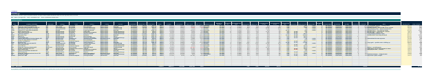 The Holdings sheet from Dividend Portfolio Navigator